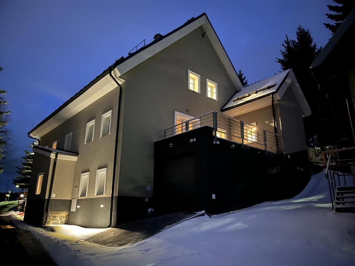 Loučná pod KlínovcemHillside No. 18アパートメント エクステリア 写真