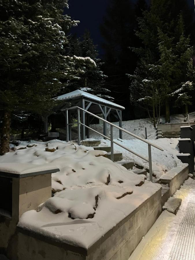 Loučná pod KlínovcemHillside No. 18アパートメント エクステリア 写真
