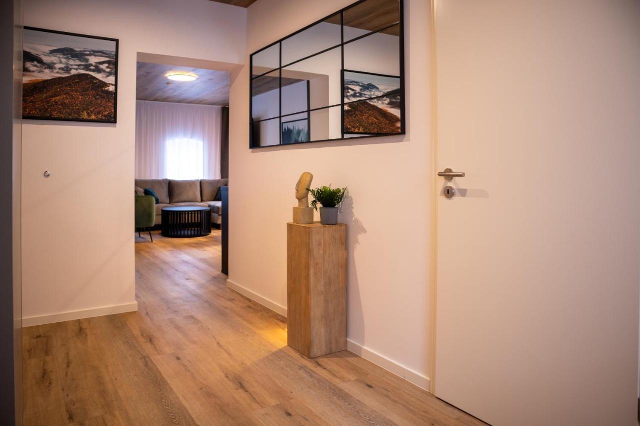 Loučná pod KlínovcemHillside No. 18アパートメント エクステリア 写真