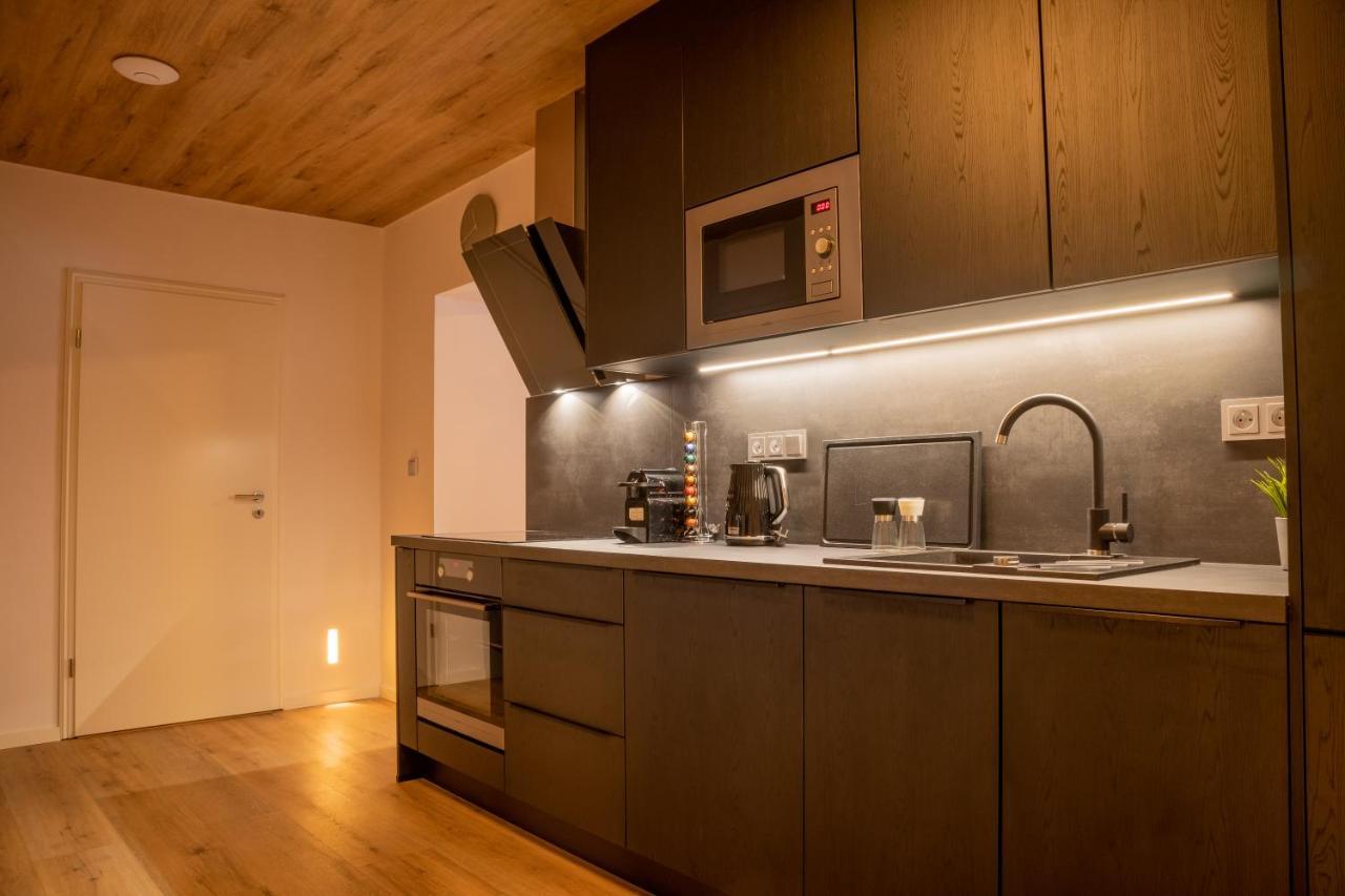 Loučná pod KlínovcemHillside No. 18アパートメント エクステリア 写真