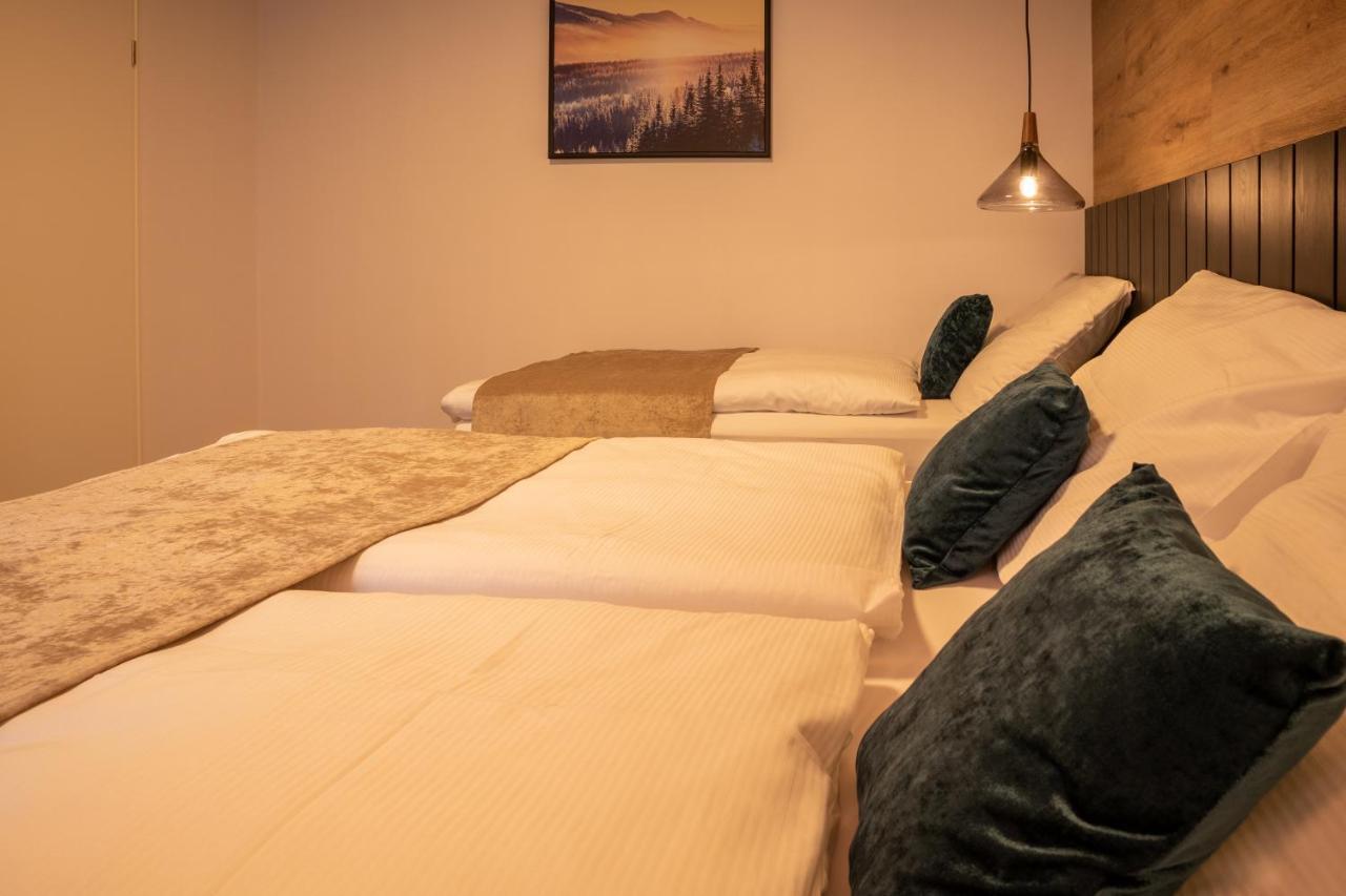 Loučná pod KlínovcemHillside No. 18アパートメント エクステリア 写真
