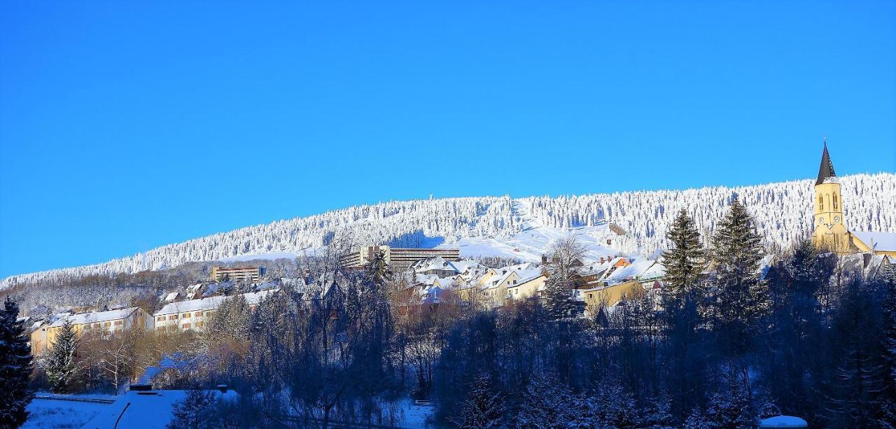 Loučná pod KlínovcemHillside No. 18アパートメント エクステリア 写真